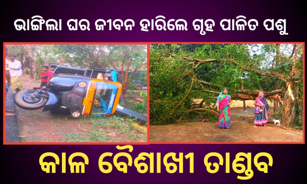 କାଳବୈଶାଖୀ ର ତାଣ୍ଡବ ଭାଙ୍ଗିଲା ଘର ଜୀବନ ହାରିଲେ ଗୃହପାଳିତ ପଶୁ