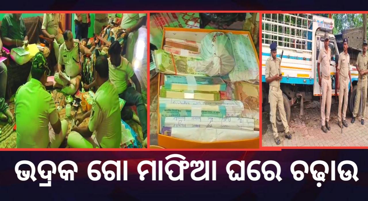 ଭଦ୍ରକରେ ଗୋ ମାଫିଆ ଘରେ ଚଢ଼ାଉ ବିପୁଳ ପରିମାଣରେ ଅସ୍ତ୍ର ଶସ୍ତ୍ର ଜବତ